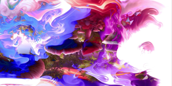 Ocean Garden 2- Elisa Zurlo